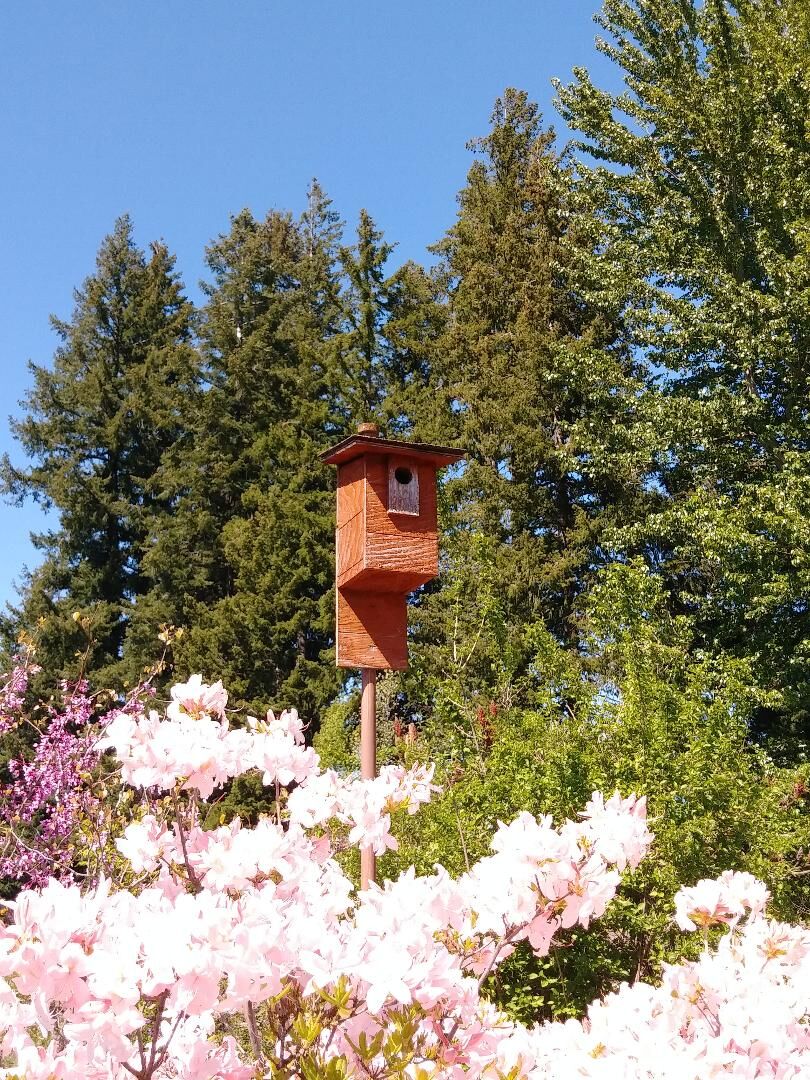 Master gardeners 3.jpg